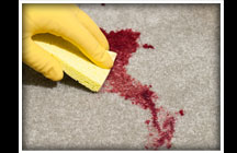 Carpet Stain Removal