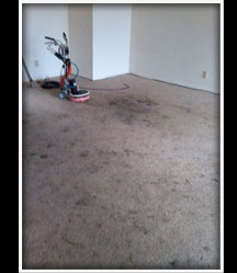 Deep Stain Carpet Cleaning